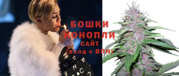 ешки Осинники