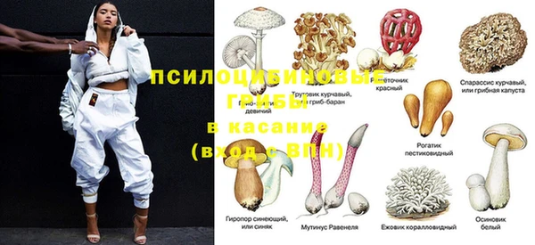 герыч Белокуриха