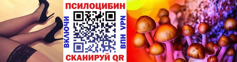 Галлюциногенные грибы мухоморы  купить наркотики сайты  Кисловодск 