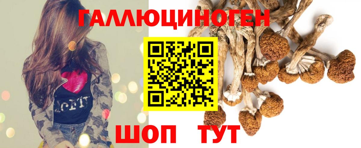 сколько стоит  Вход с VPN  Кисловодск  Галлюциногенные грибы MAGIC MUSHROOMS 