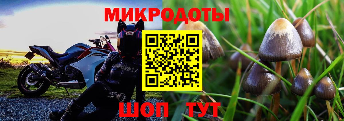 Галлюциногенные грибы прущие грибы Кисловодск