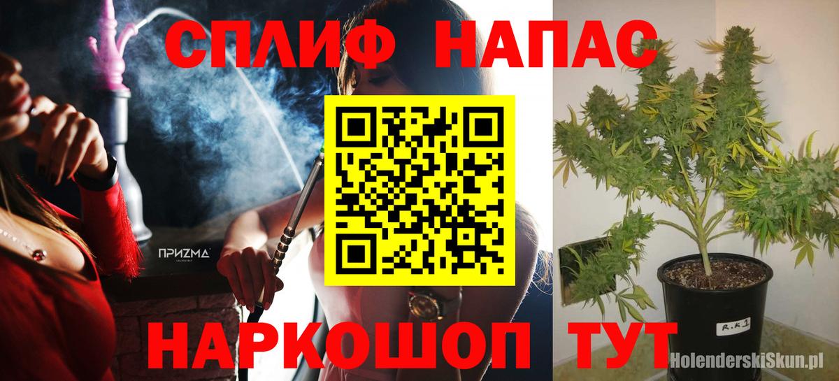 Шишки марихуана планчик  Бошки марихуана ГИДРОПОН  Шишки марихуана THC 21%  Вход с VPN  Бошки марихуана VHQ  Кисловодск 
